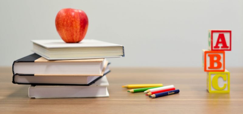 Carve-out of Instituut Pica from Estro (via MBO)