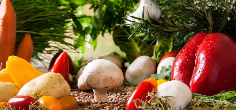 Sale of Ploegmakers Food Ingredients to Ardo