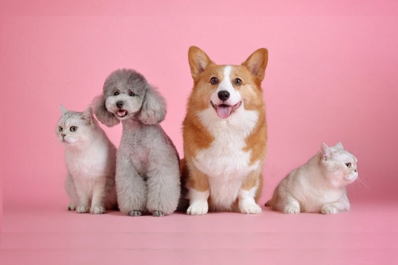 Growth financing of Axience