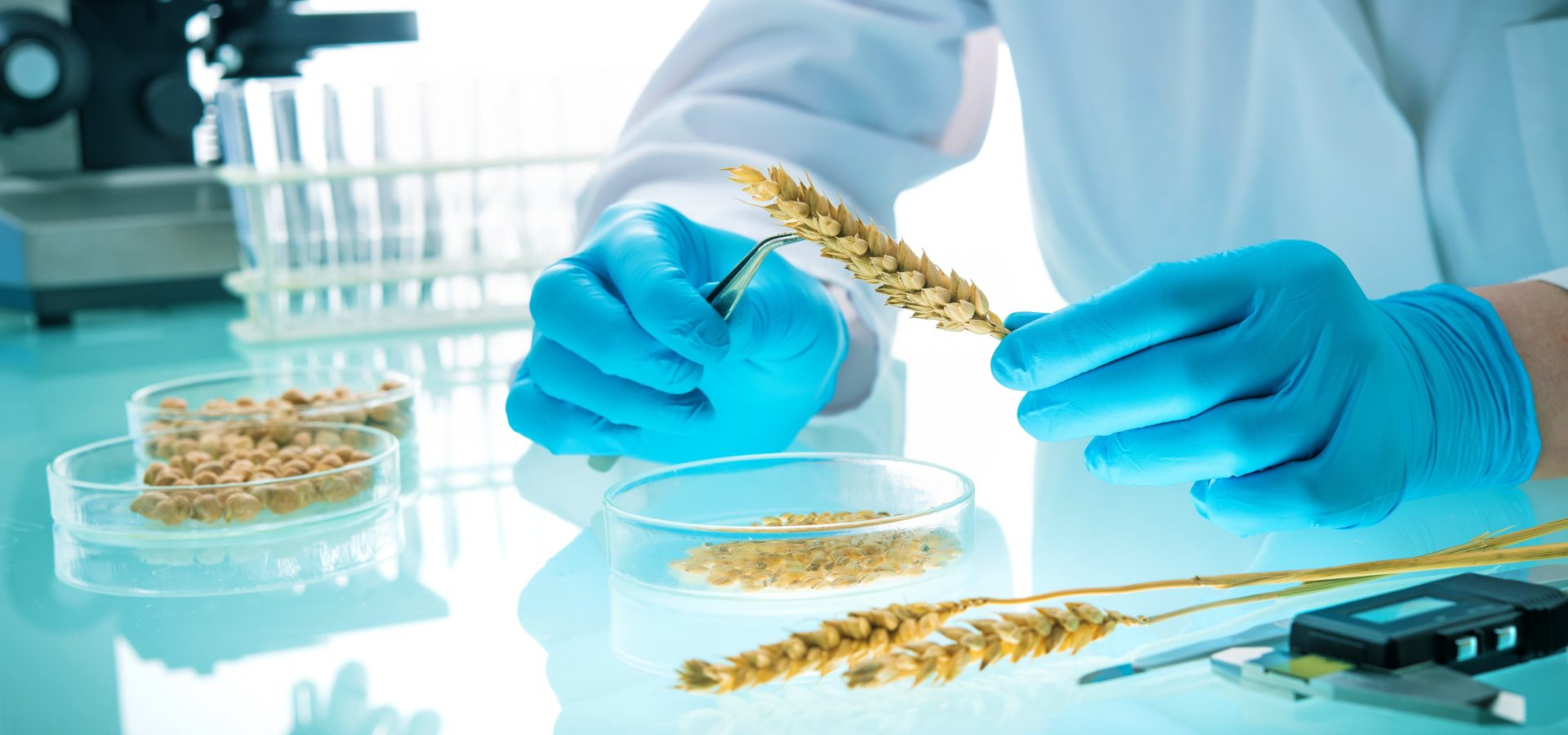 Testing, Inspection and Certification report 2020