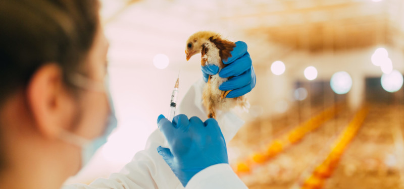 Acquisition of Pharmavet by Alliando