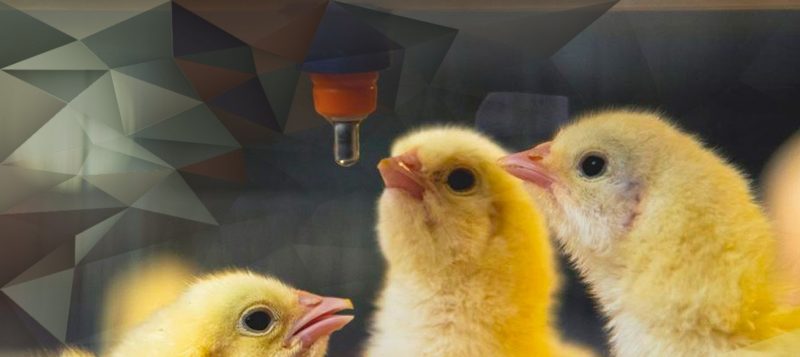 Sale of FRAmelco to Bluestar Adisseo