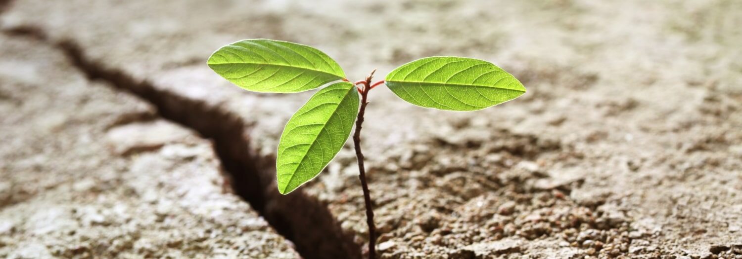 Capitalmind Impact: Restructuring with the help of a M&A process