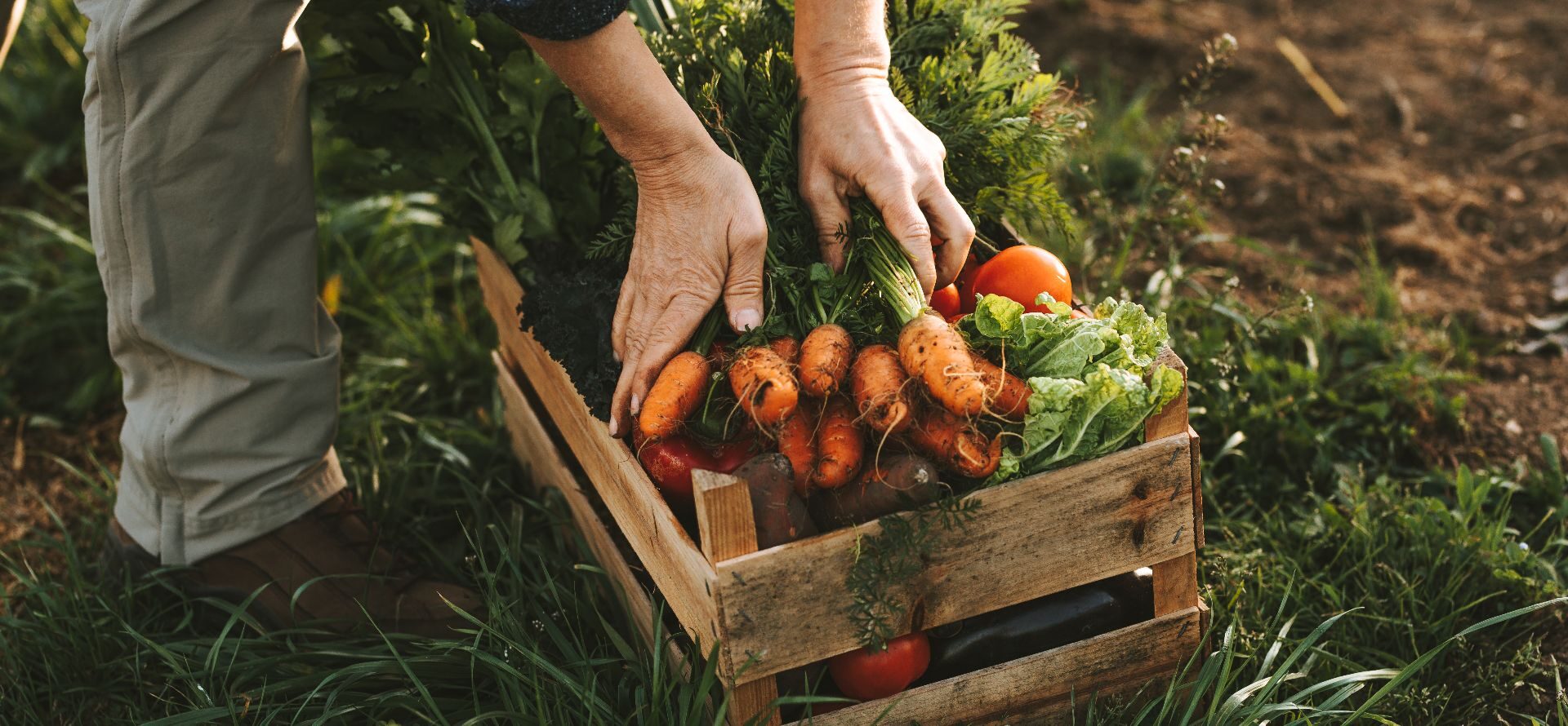 14th edition  »Food for Growth »