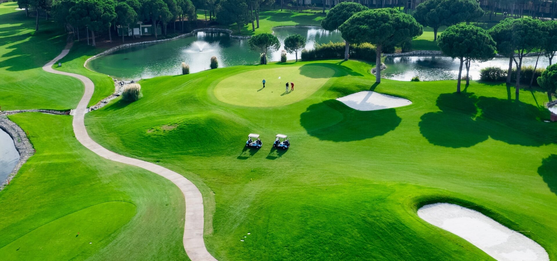 So they made an offer. Now what?