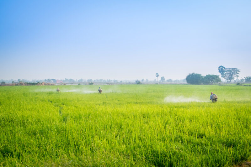 Acquisition de Shogun Organics par Safex Chemicals