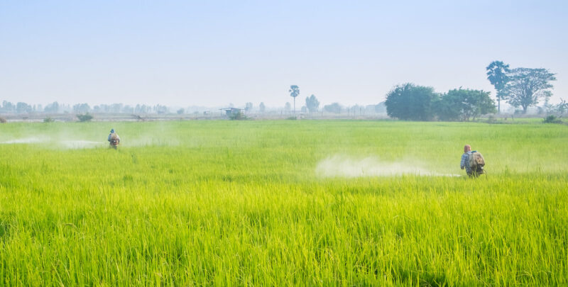 Acquisition of Shogun Organics by Safex Chemicals